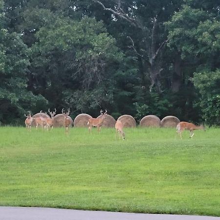 Hotel Deer Run Estate LLC Marshfield Exterior foto